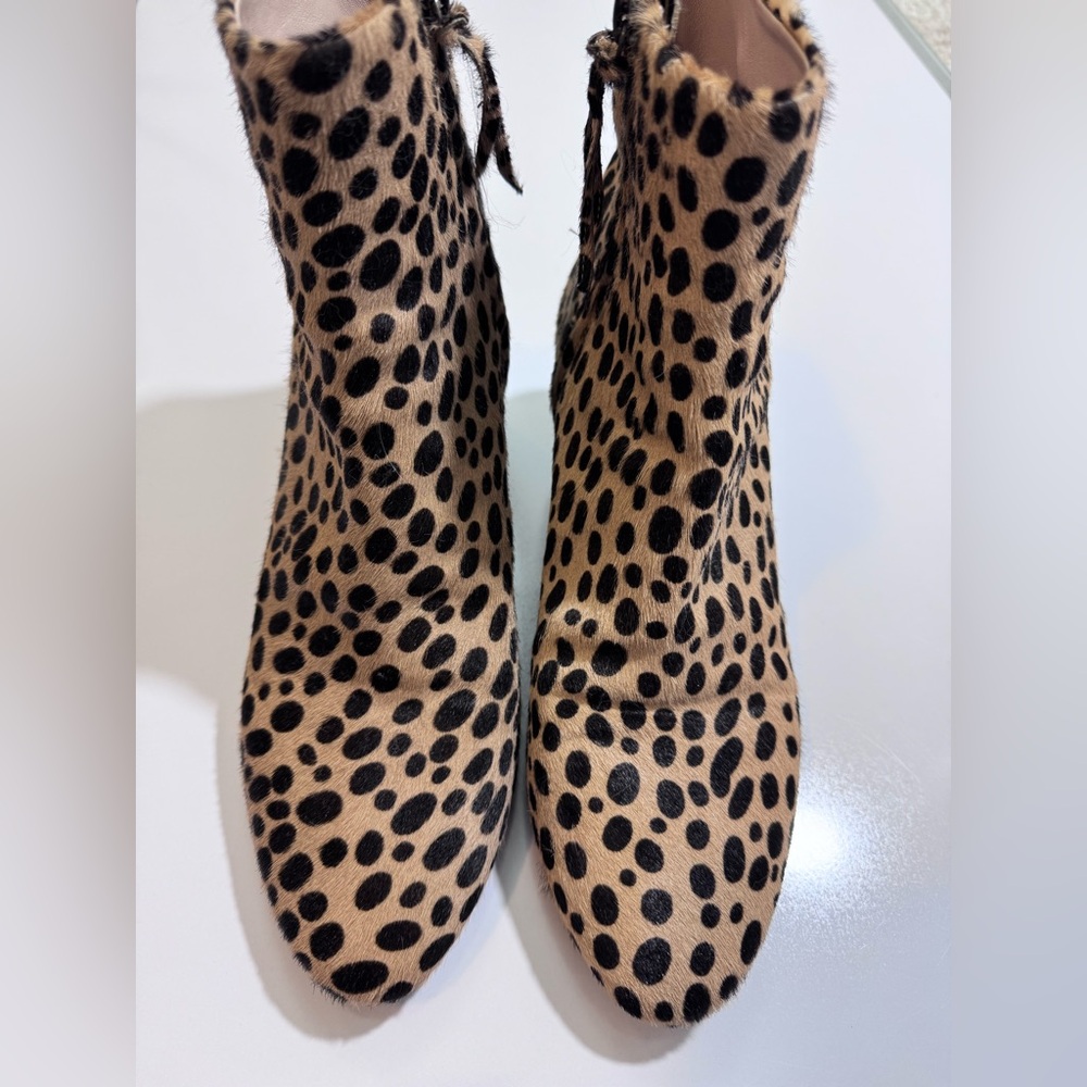 Cavallini Black and Tan leopard hair Ankle Booties